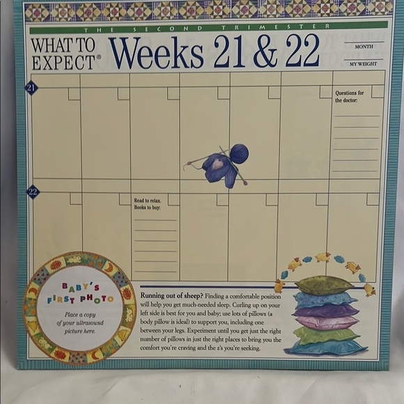What to Expect Pregnancy Planner Calendar - Picture 7 of 8